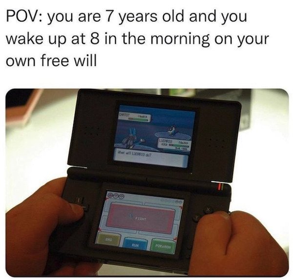 Memes For Gamers (43 pics)