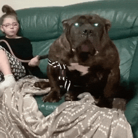 Giant Things (28 pics)