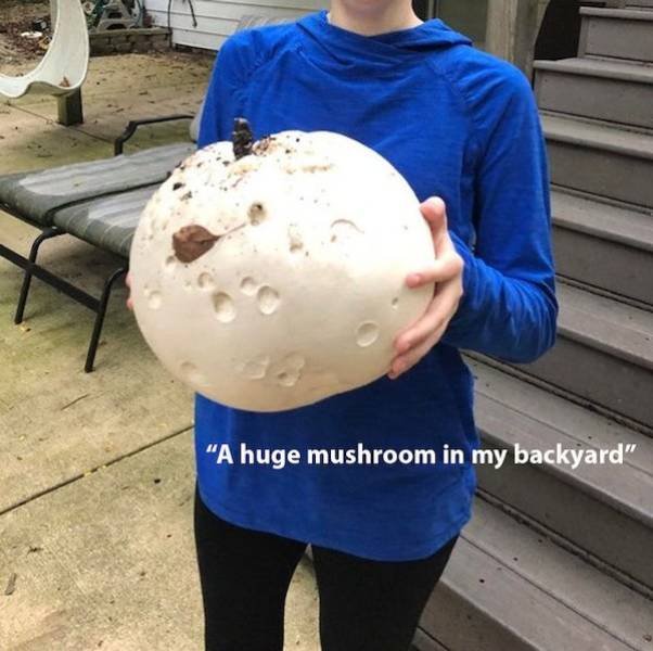 Giant Things (28 pics)