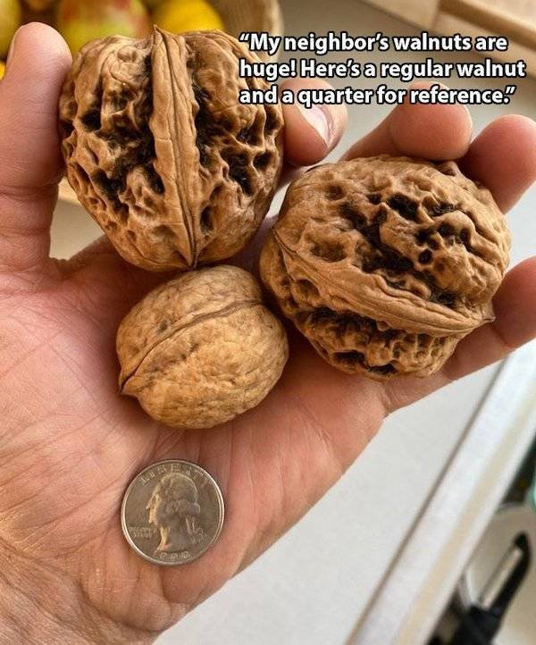 Giant Things (28 pics)