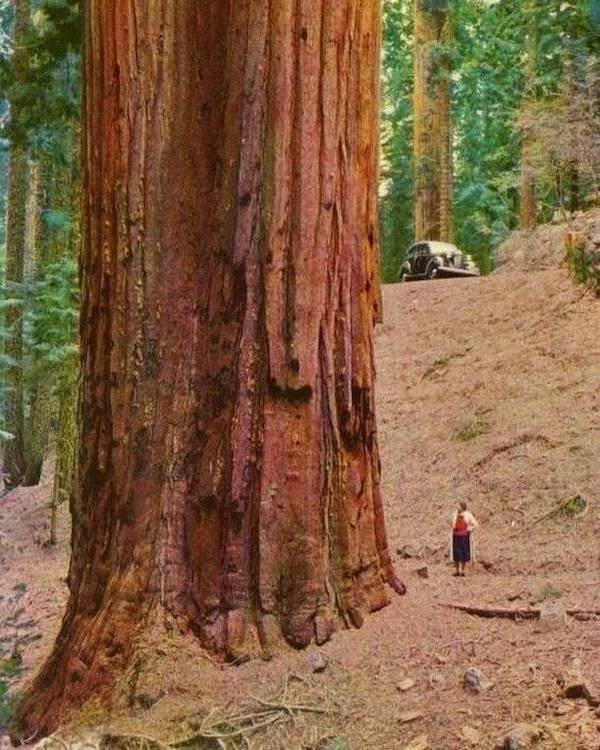 Giant Things (28 pics)