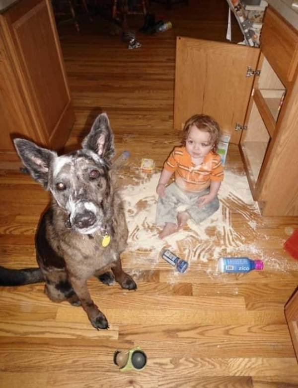 Living With Kids (36 pics)