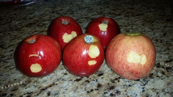 Living With Kids (36 pics)