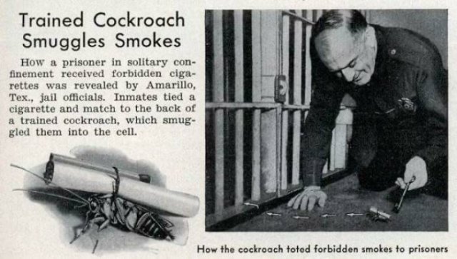 Things That Were Made Illegally By Prisoners (34 pics) Things That Were Made Illegally By Prisoners (34 pics)