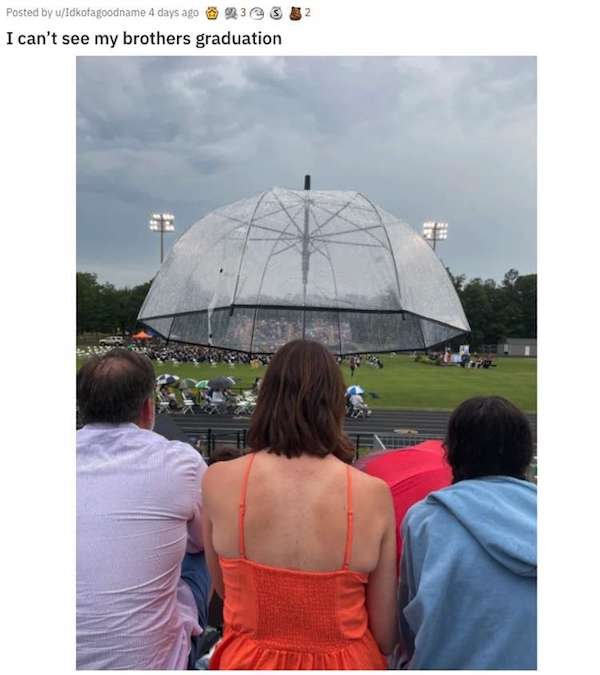 Annoying Things (25 pics)