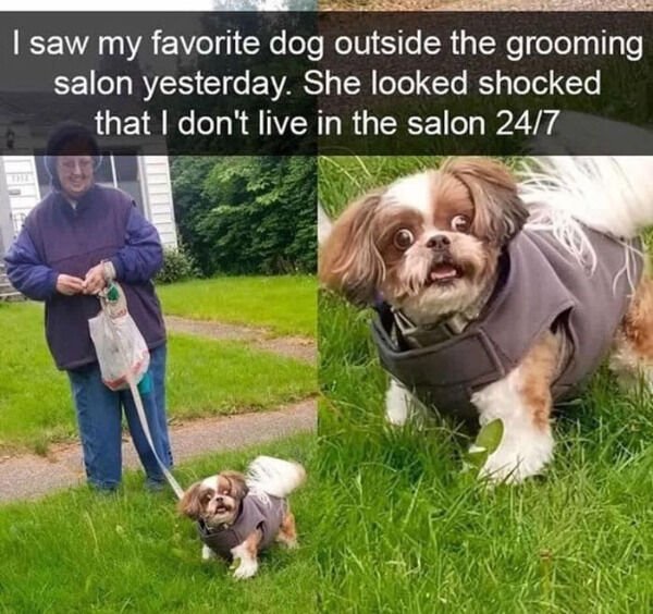 So True (35 pics)