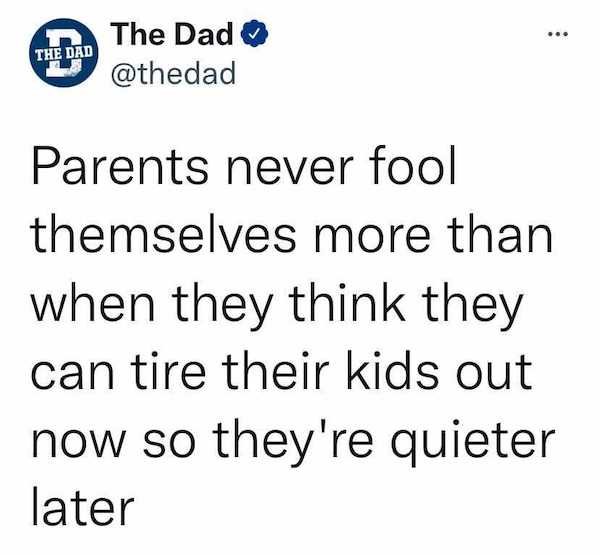 Parenting Tweets (29 pics)