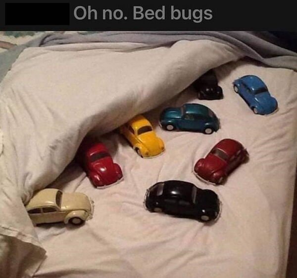 So True (35 pics)