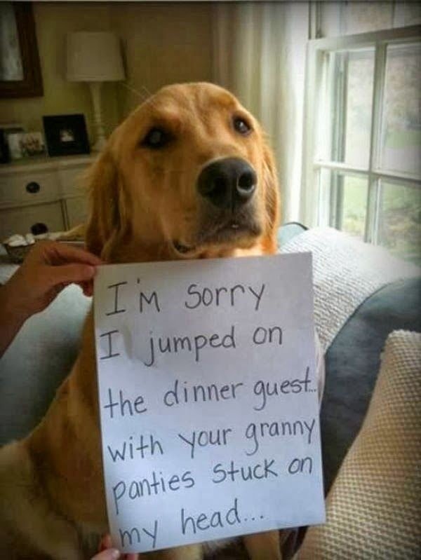 So True (35 pics)