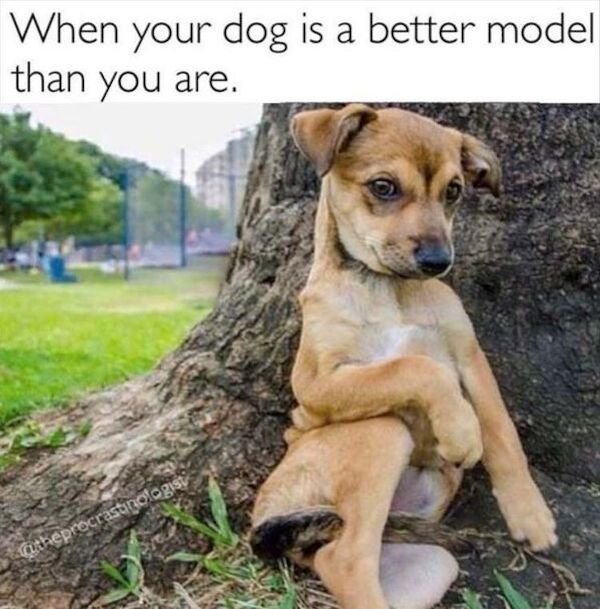 So True (35 pics)