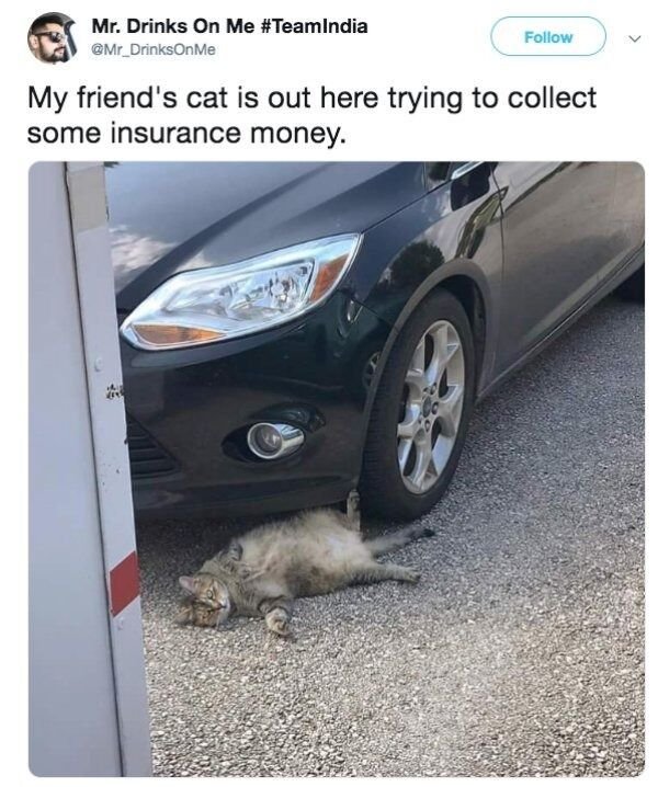 So True (35 pics)