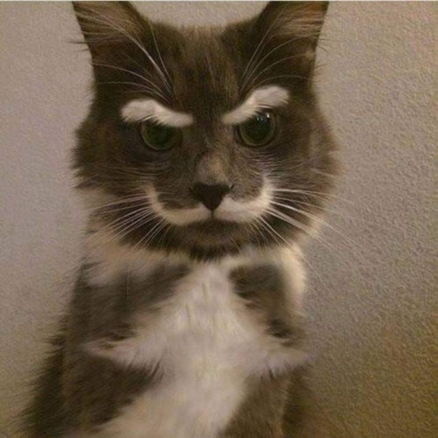 Acid Picdump 1 (88 pics)