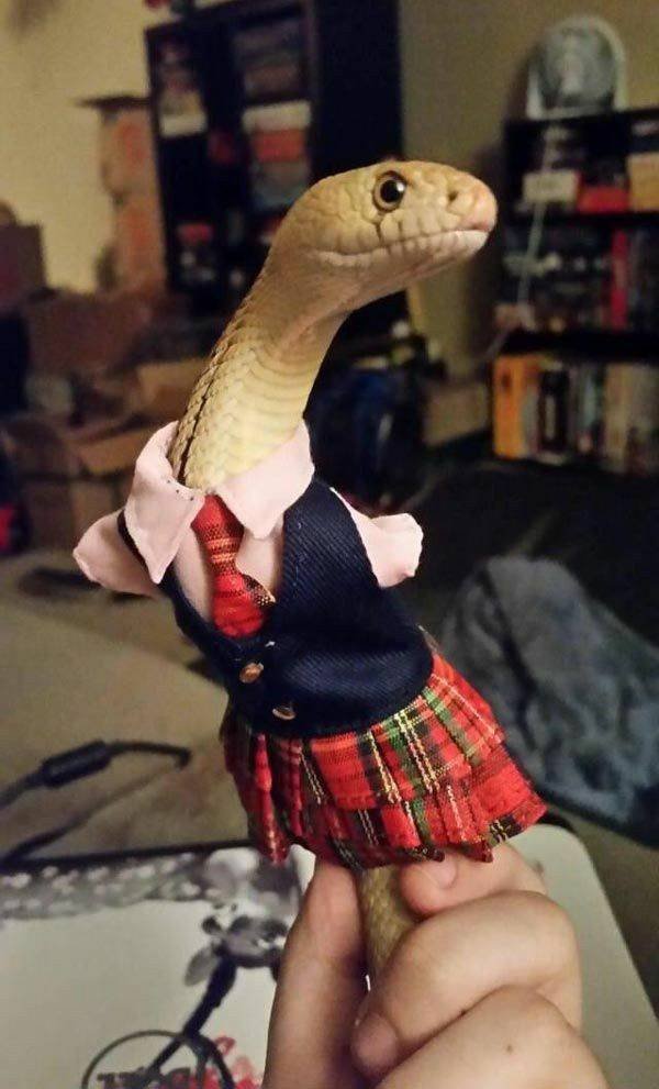 Acid Picdump 1 (88 pics)