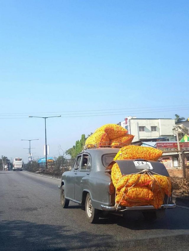 Acid Picdump 2 (86 pics)