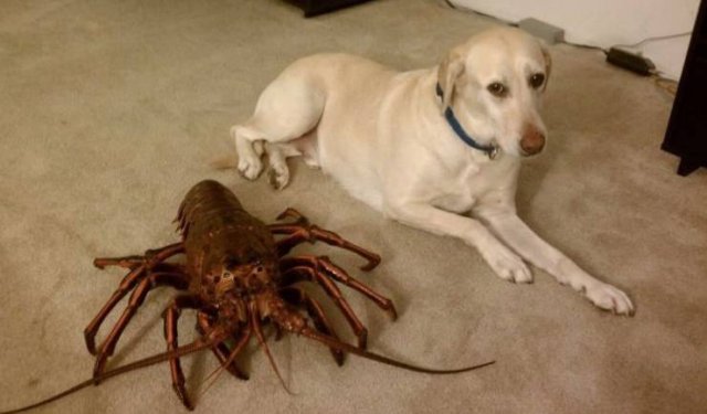Acid Picdump 1 (88 pics)