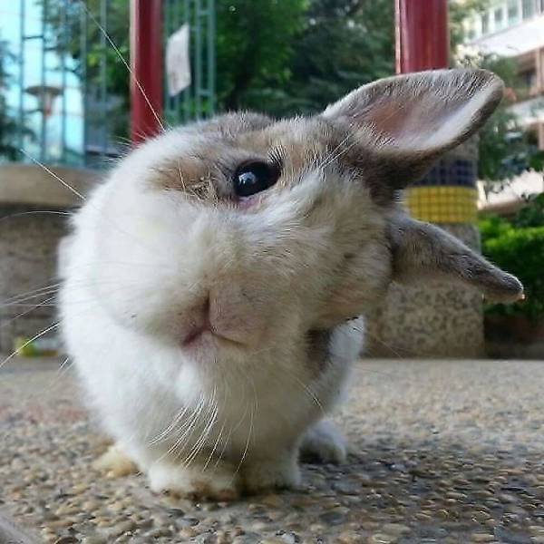 Acid Picdump 2 (86 pics)