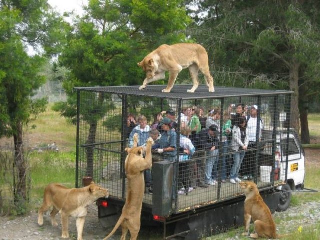 Acid Picdump 1 (88 pics)
