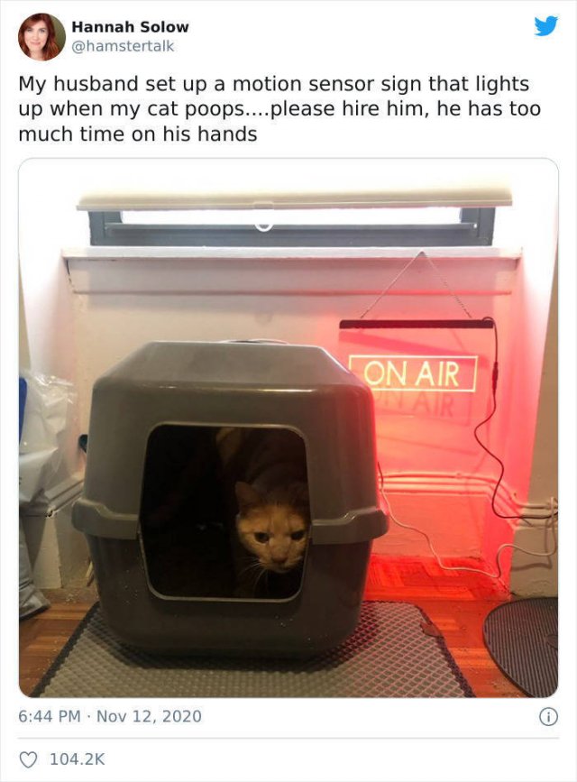 Hilarious Cats (49 pics)