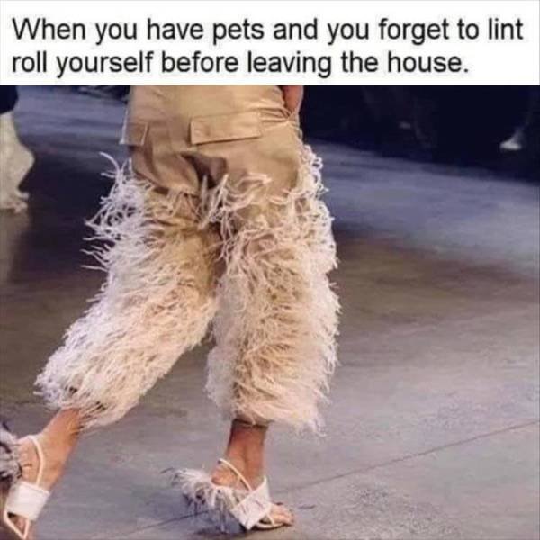 Acid Picdump 2 (86 pics)