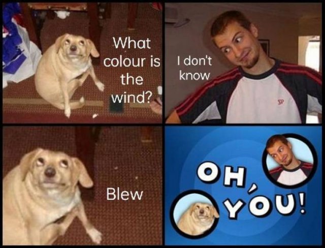 Acid Picdump 2 (86 pics)