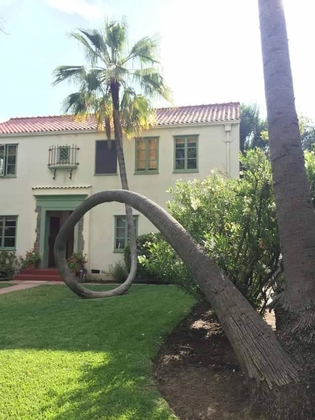 Acid Picdump 2 (84 pics)