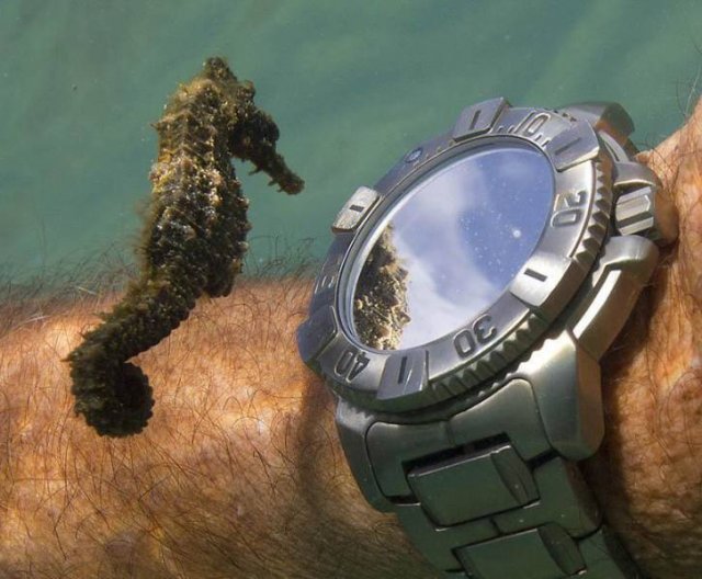 Acid Picdump 2 (84 pics)