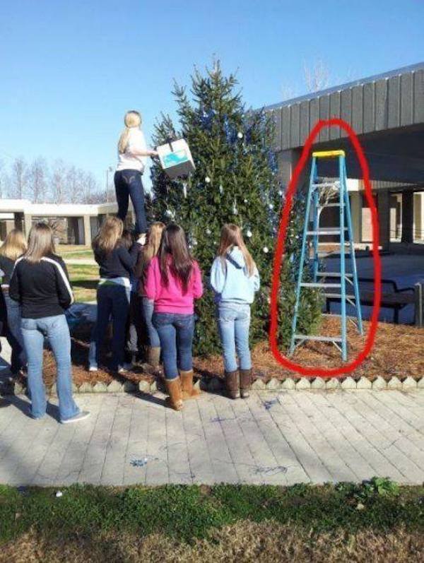 People Do Stupid Things (40 pics)