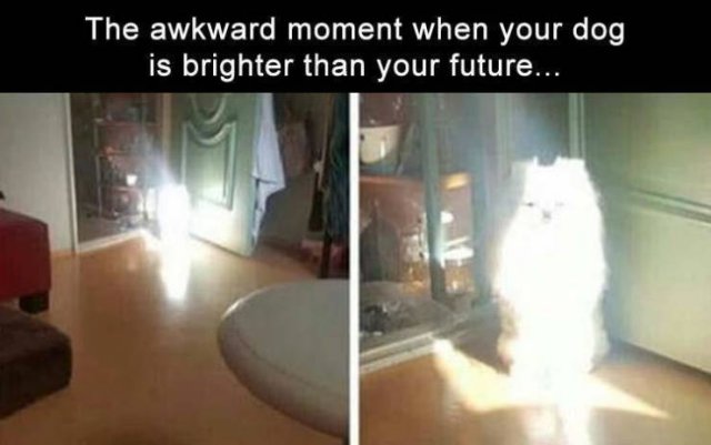 Acid Picdump 2 (84 pics)