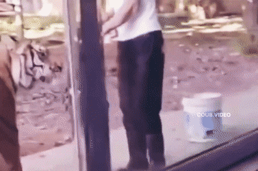 Acid Gifdump, September 17 (25 gifs)