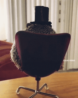 Acid Gifdump, September 17 (25 gifs)