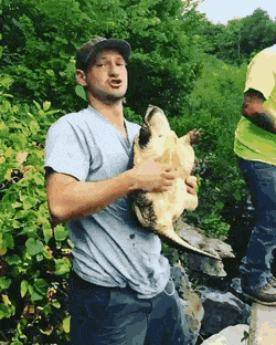 Acid Gifdump, September 17 (25 gifs)