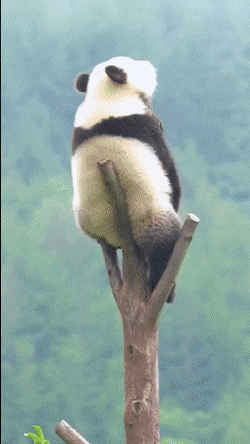 Acid Gifdump, September 17 (25 gifs)