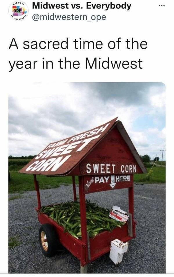Midwest Memes (25 pics)