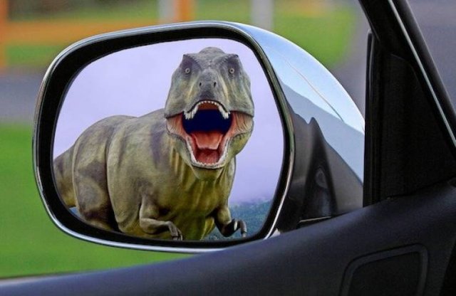 You Probably Haven't Heard About these Things (18 pics)