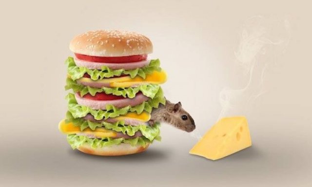 You Probably Haven't Heard About these Things (18 pics)