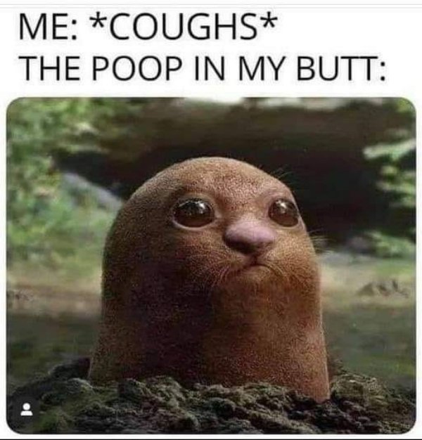 Hilarious Memes (40 pics)