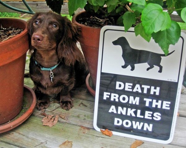 Hilarious Memes (40 pics)