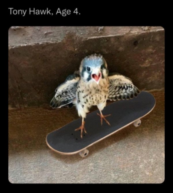 Hilarious Memes (40 pics)