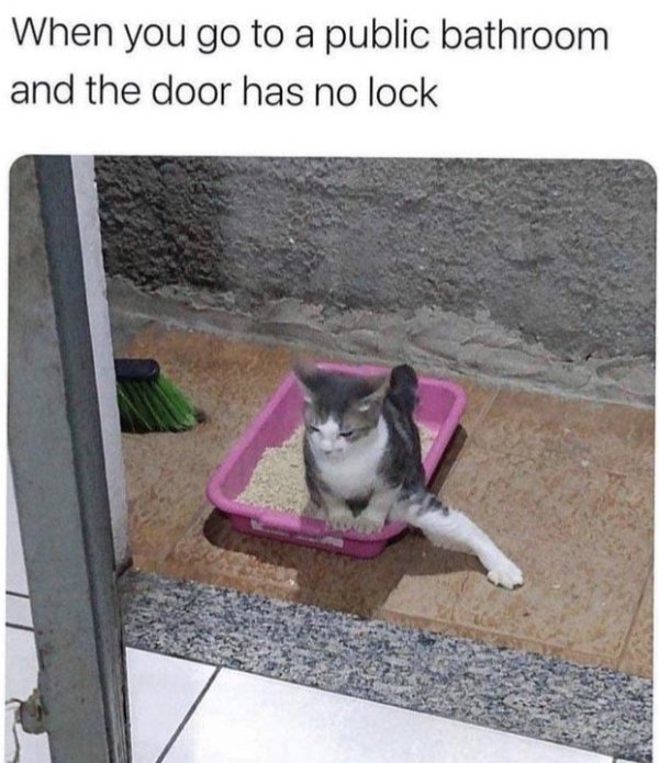 Hilarious Memes (40 pics)