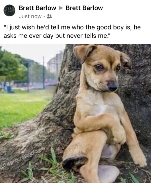 Hilarious Memes (40 pics)