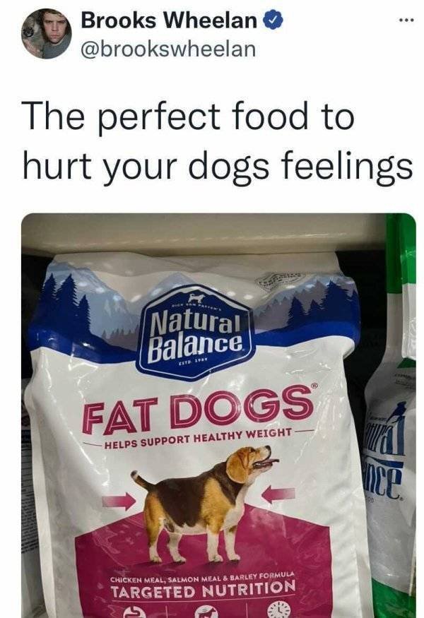 Funny Tweets (78 pics)