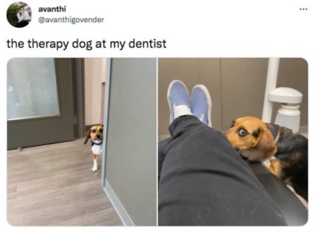 Funny Tweets (78 pics)