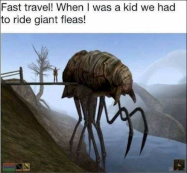 Pictures For Gamers (66 pics)