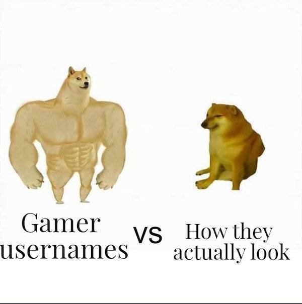 Pictures For Gamers (66 pics)
