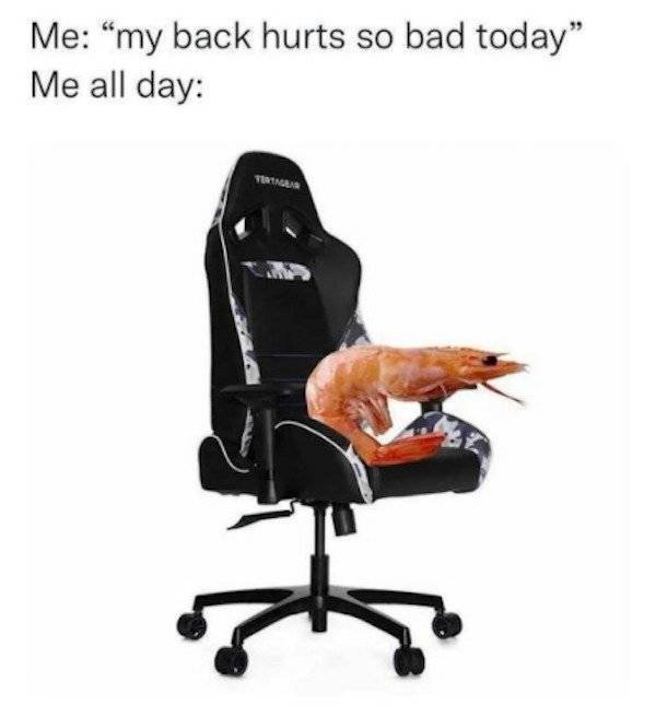 Pictures For Gamers (66 pics)