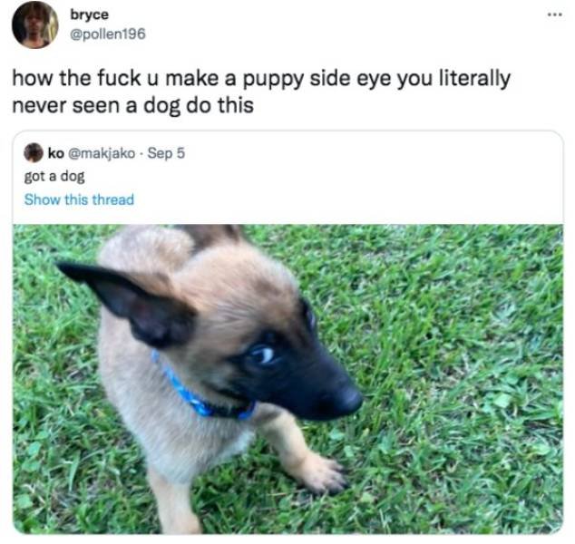 Funny Tweets (78 pics)