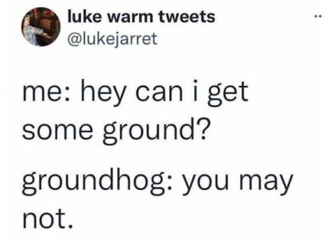 Funny Tweets (78 pics)