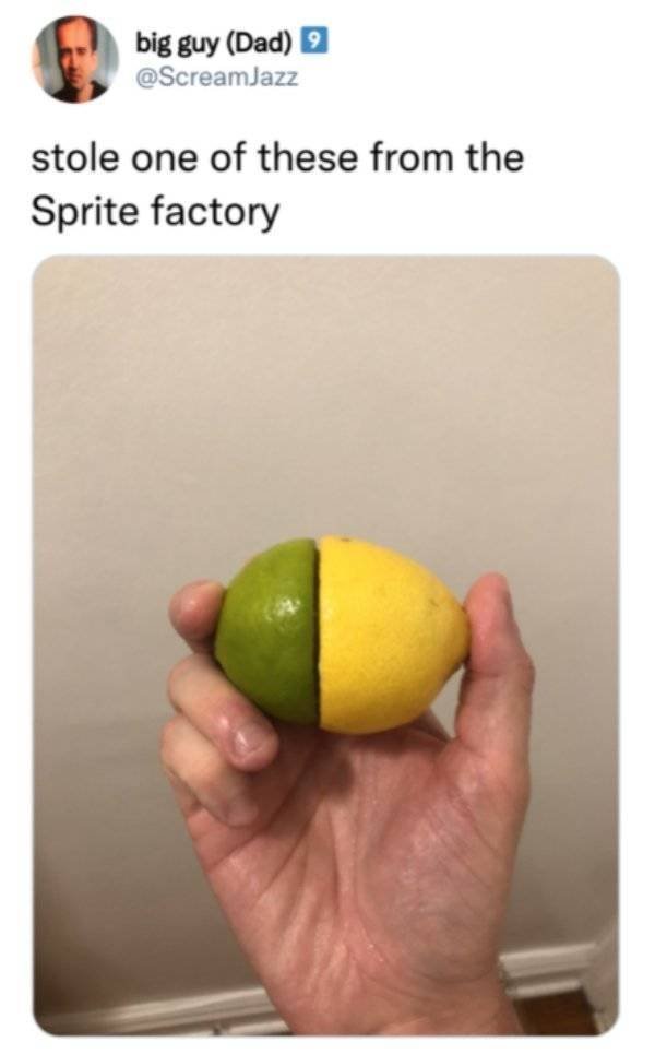 Funny Tweets (78 pics)