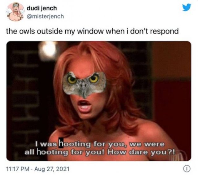 Funny Tweets (78 pics)