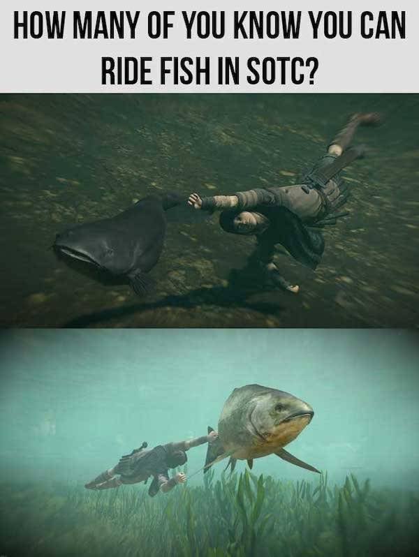 Pictures For Gamers (66 pics)
